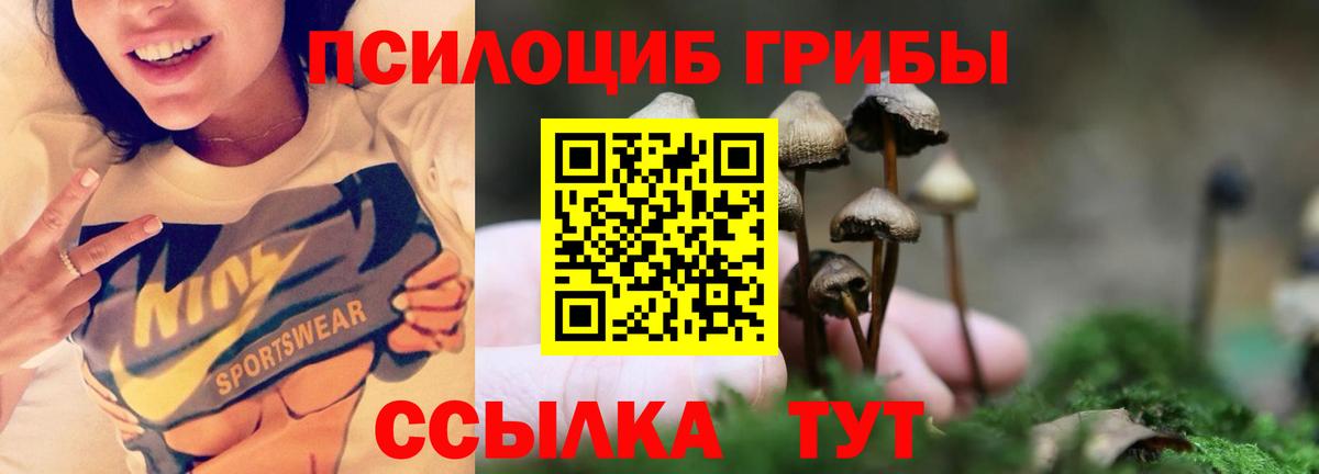Галлюциногенные грибы мицелий Азнакаево